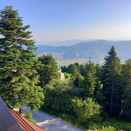 Hotel Molika Magarevo 외부 사진